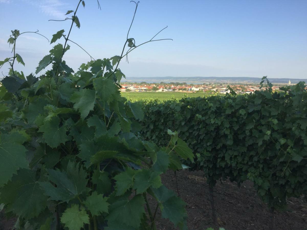 Appartement Weingut Krikler à Weiden am See Extérieur photo